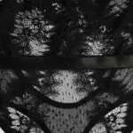 Eyelash Lace Deep V Bodysuit Brisket detaljer