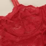 Red Floral Lace Bustier Bodysuit Bra Details Red Floral Lace Bustier Bodysuit Bra Details