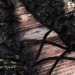 Snake Deep-v Open Cup Teddy Suit Belt Details