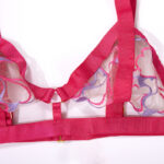 Conjunto de dos piezas de encaje bordado HotPink Detalles del sujetador Mostrar
