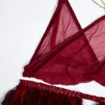 Fire Brick Sheer Mesh Bra and Panty Set with Feather Bra Details Fire Brick Sheer Mesh Bra and Panty Set with Feather Bra Details