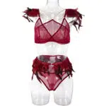Fire Brick Sheer Mesh Bra and Panty Set with Feather Front View Fire Brick Sheer Mesh Bra and Panty Set with Feather Front View