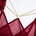 Fire Brick Sheer Mesh Bra and Panty Set with Feather Metal Details Fire Brick Sheer Mesh Bra and Panty Set with Feather Metal Details