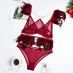 Fire Brick Sheer Mesh Bra and Panty Set with Feather Over View Fire Brick Sheer Mesh Bra and Panty Set with Feather Over View