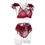 Fire Brick Sheer Mesh Bra and Panty Set with Feather SideView Fire Brick Sheer Mesh Bra and Panty Set with Feather SideView