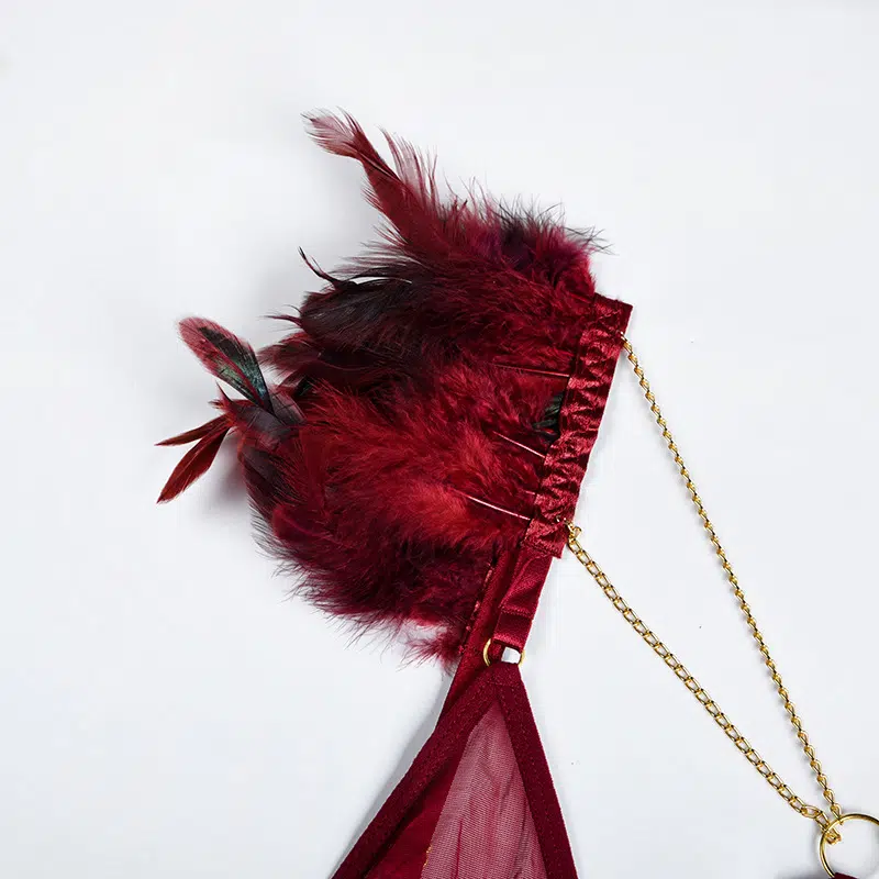 Fire Brick Sheer Mesh Bra and Panty Set with Feather Strap Details Fire Brick Sheer Mesh Bra and Panty Set with Feather Strap Details