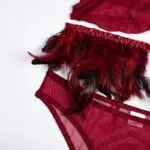Fire Brick Sheer Mesh Bra and Panty Set with Feather Waist Details Fire Brick Sheer Mesh Bra and Panty Set with Feather Waist Details
