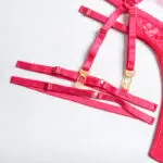 Conjunto de sujetador de encaje floral transparente sexy rosa intenso con detalles de tiras de faja con borlas