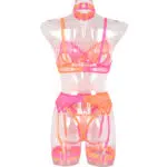 Hot Pink Two-Tone Stretch Mesh Bra Set Back View