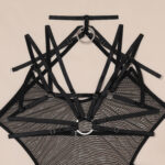 Läpinäkyvä ja mukava seksikäs haalari, jossa on lisävaljaat rintaliivit ja pikkuhousut - Harter-alusvaatteiden tukkumyynti