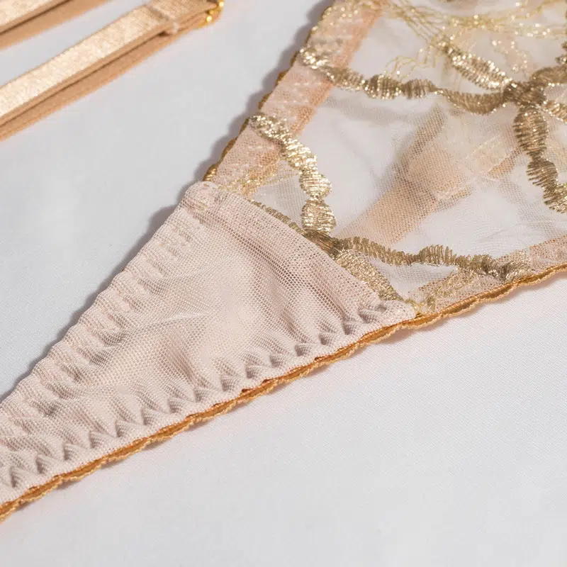 Sheer Mesh Beige Bra Set of 3 with Embroidered Detailing Crotch Details Sheer Mesh Beige Bra Set of 3 with Embroidered Detailing Crotch Details