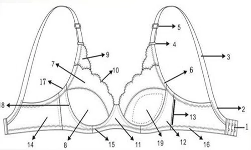 Anatomía del sujetador: explicación del papel de cada parte Revelando la estructura básica de un sostén: del soporte a la comodidad