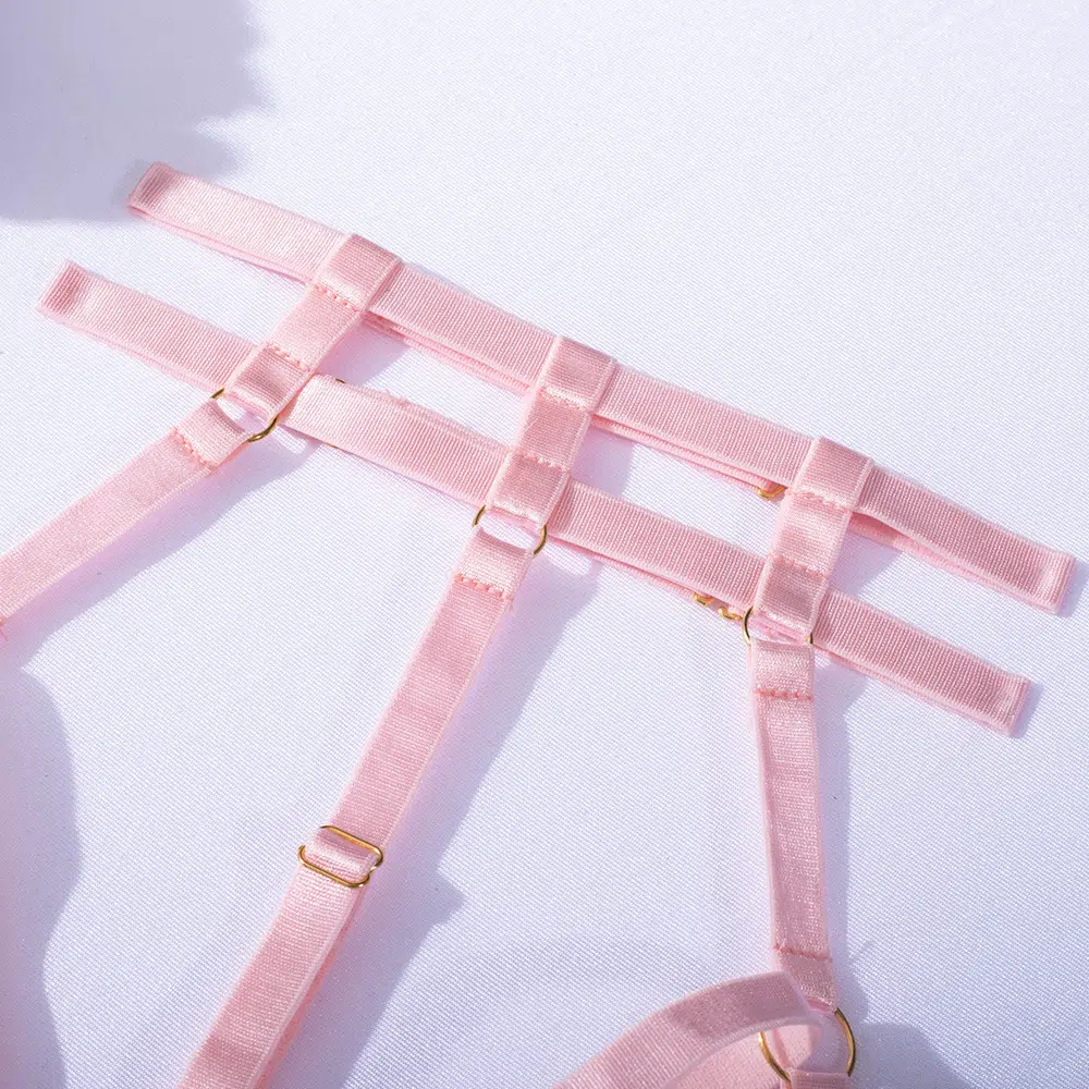 Sensual Conjunto de Lencería con Sujetador Hueco en Rosa Claro Detalles Harter