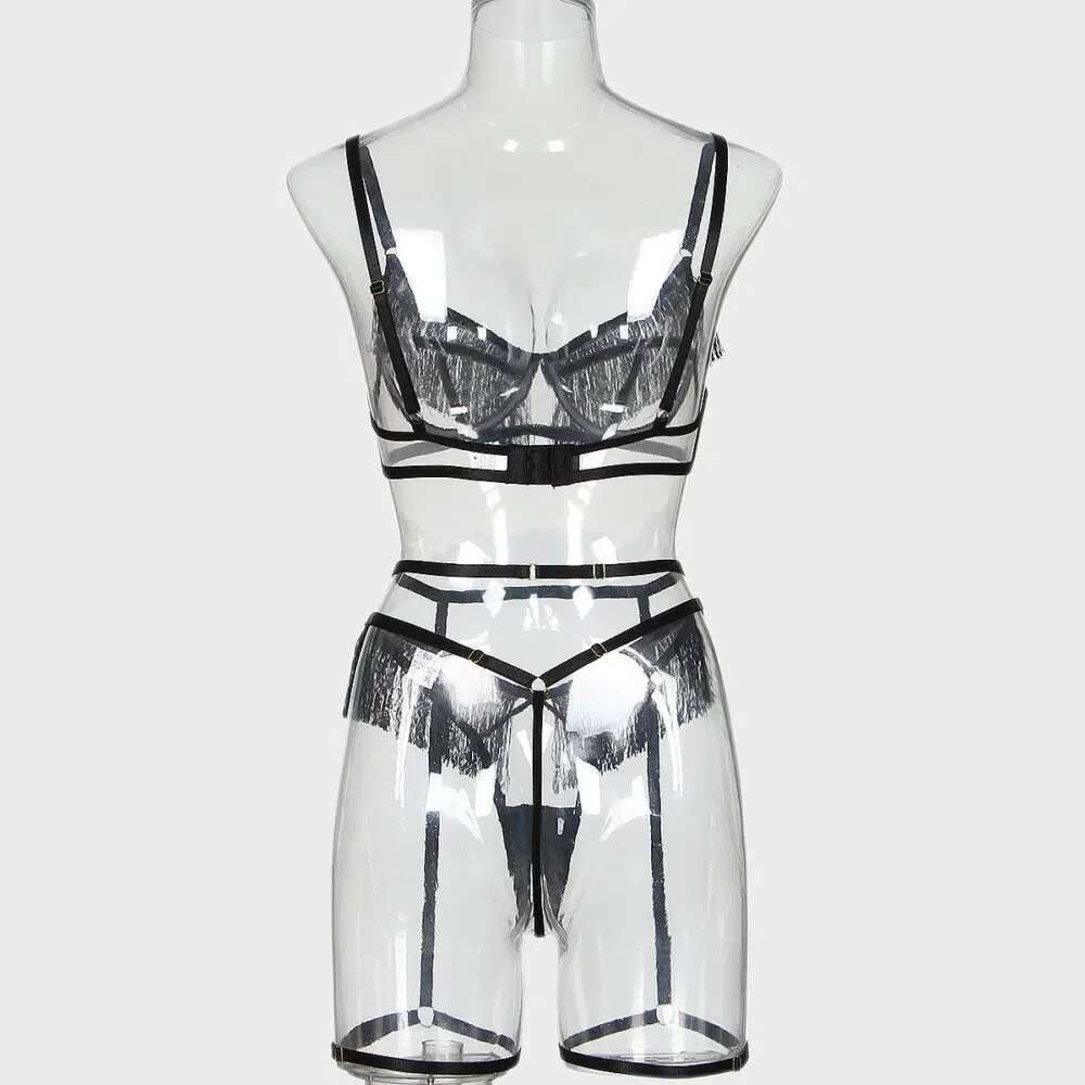 Wholesale Elegant See-Through Mesh Garter Bra Set with Sexy Tasse Back View Engros Elegant Se-Through Mesh Strømpebånd BH Sæt med sexet Tasse bagfra