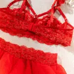 Venta al por mayor Conjunto de lencería con aros de encaje floral rojo Detalles de la espalda Mostrar