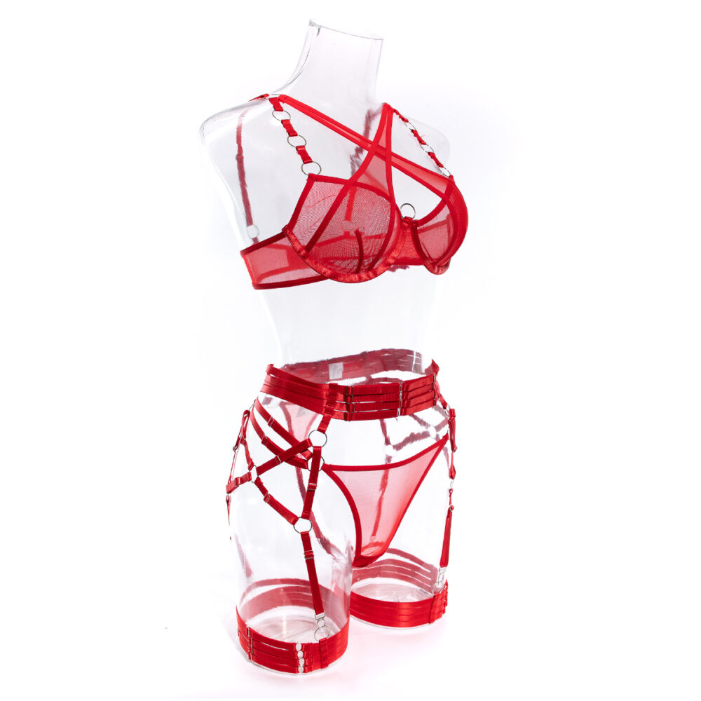 Wholesale Red Modern Bra and Panties Set with Garter Side Display