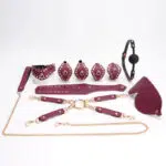 Red Wholesale Submissive Starter Kit with Rivet Design