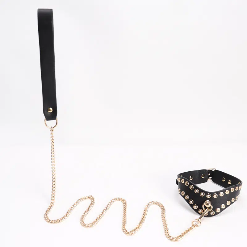 Wholesale Submissive Starter Kit with Rivet Design leash