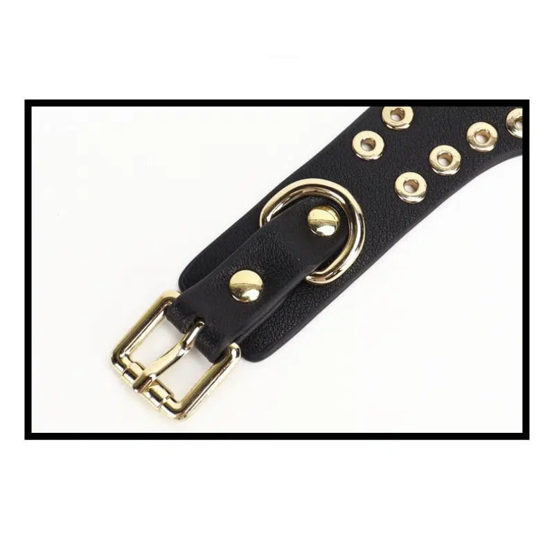 Wholesale Submissive Starter Kit with Rivet Design metal details