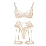 Bisque Sheer Lace Garter Alusvaatteet Ensemble edestä