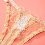 Bisque Sheer Lace Garter Alusvaatteet Ensemble Pan ty Yksityiskohdat