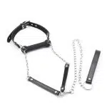 Indledende Ball Gag Set Over View