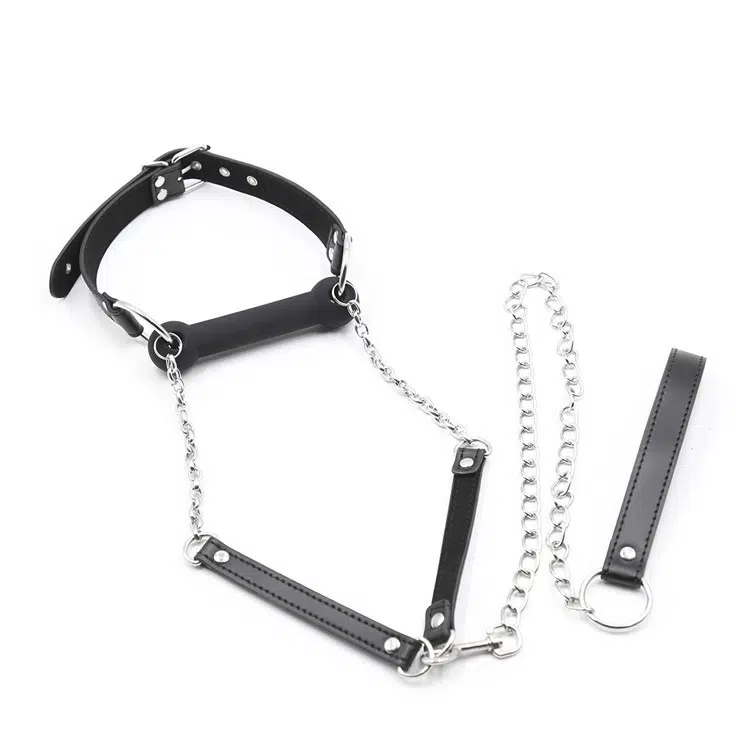 Indledende Ball Gag Set Over View