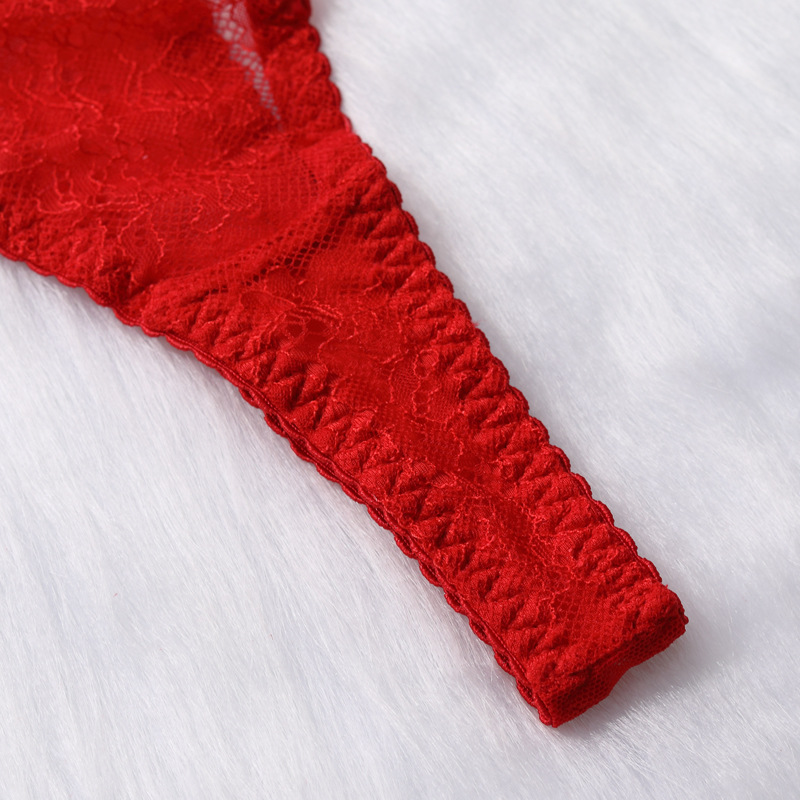 Red Delicate Shadow Sheer Bra and Panty Set Crotch Details Красный комплект из прозрачного бюстгальтера и трусиков Delicate Shadow с деталями в области промежности