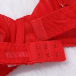 Красный комплект из прозрачного бюстгальтера и трусиков Delicate Shadow с бюстгальтером Back Show Красный комплект из прозрачного бюстгальтера и трусиков Delicate Shadow с бюстгальтером Back Show