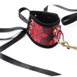 Scarlet Lace Bondage Collar Set Show